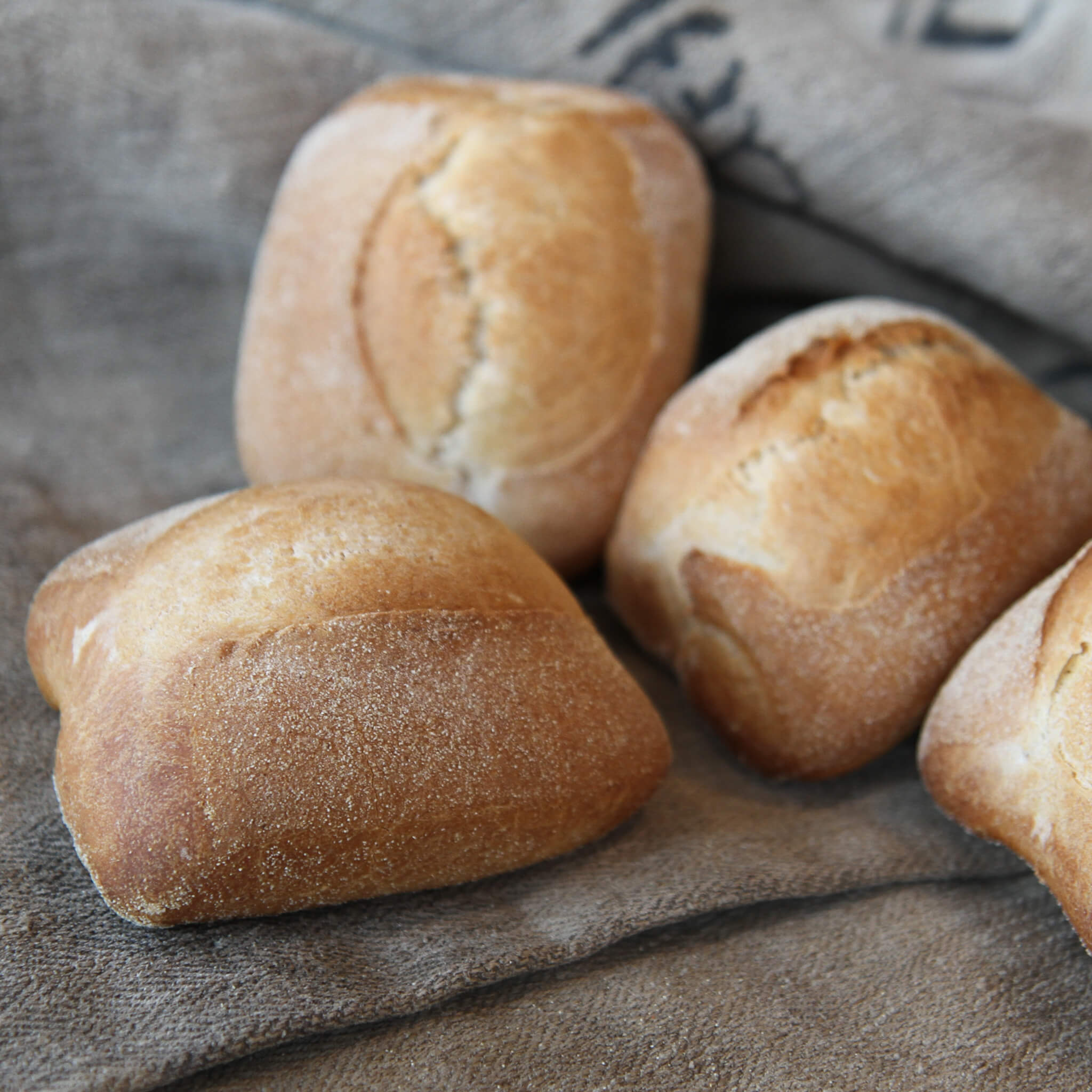 Dinkelbroetchen mit Sauerteig